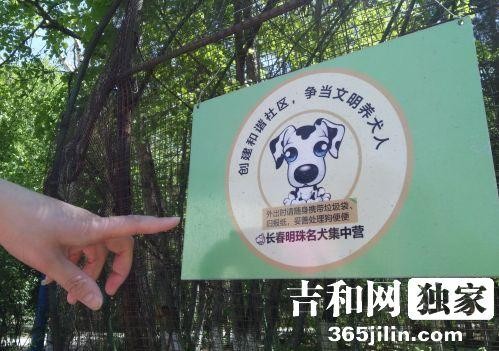 长春明珠小区宠物狗吃草地香肠后死亡主人悬赏5万找害死狗狗真凶